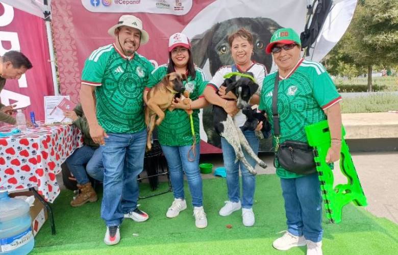 Estrategia La Mejor Jugada es Adoptar logra la adopción de 17 caninos en los Destinos Futboleros