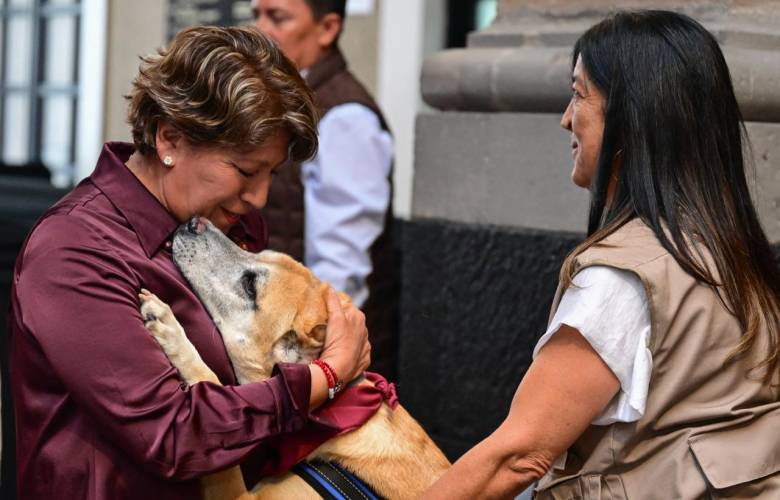 Impulsa Delfina Gómez nueva estrategia de bienestar animal en el Estado de México