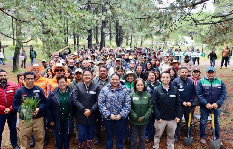 Reforestan el Nevado de Toluca con 3 mil árboles nativos