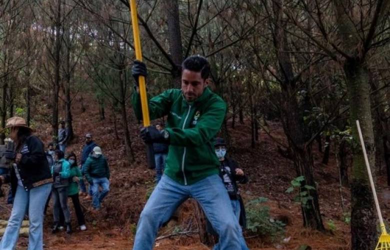 Inicia PVEM gira de reforestación con la meta de superar los 250 mil árboles plantados