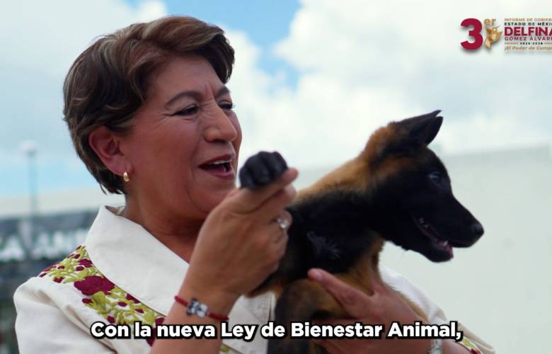 Fortalece Delfina Gómez protección animal con nueva legislación y más de 80 mil atenciones veterinarias