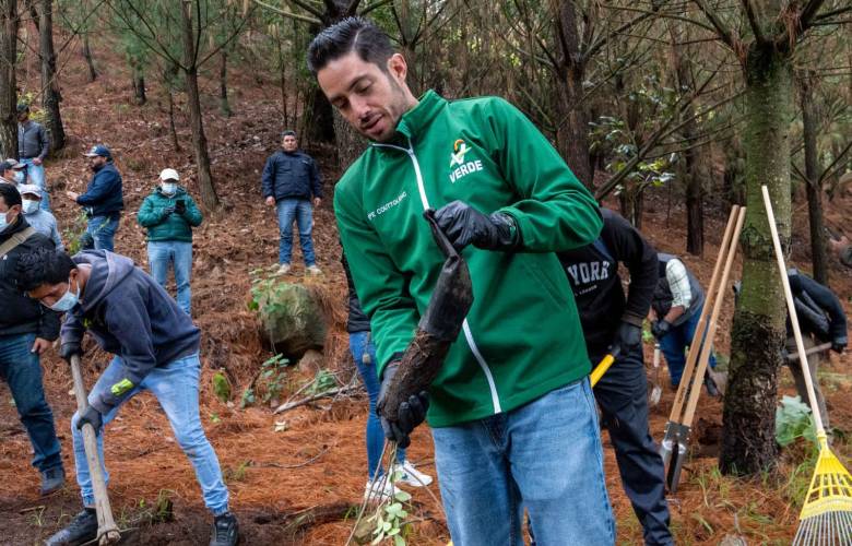 Impulsa PVEM reforestación en los 125 municipios del Edoméx
