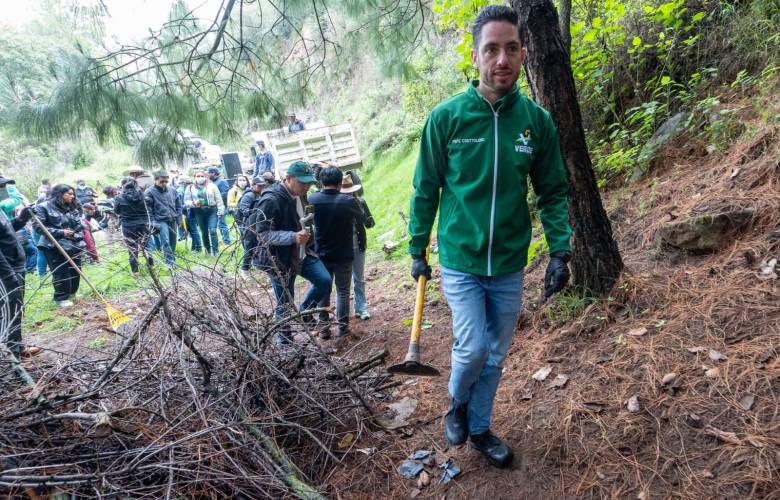 Concluye PVEM jornada de reforestación en los 125 municipios del Estado de México