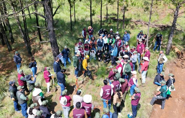 Convoca EdoMéx a familias a participar en jornada nacional de reforestación