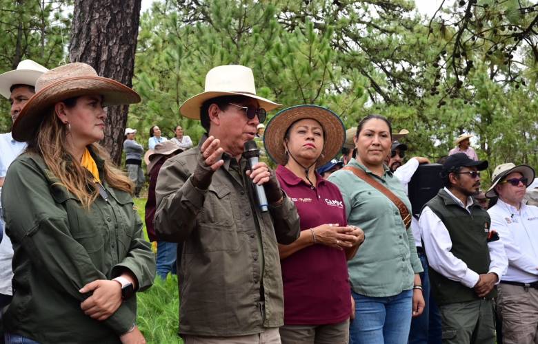 Realizan mantenimiento forestal para fortalecer la recuperación de bosques en San Simón de Guerrero