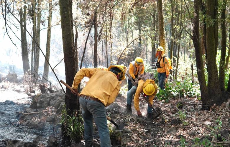 Cuenta Probosque con 54 brigadas para combatir incendios forestales