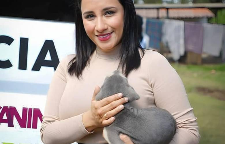 Rescate de 65 caninos maltratados en Valle de Bravo 