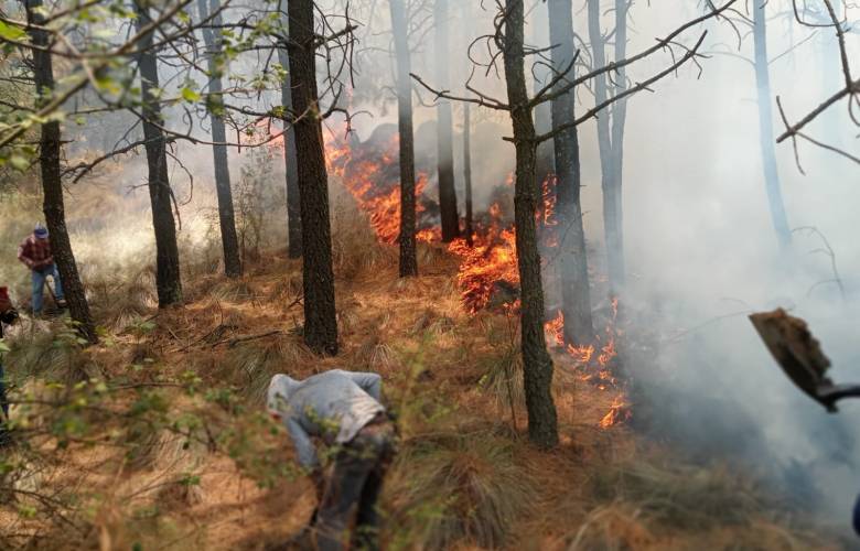 Emite Toluca recomendaciones para prevenir incendios forestales