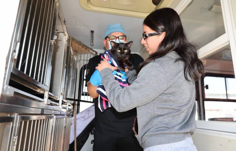 Destaca UAEMéx la esterilización animal como estrategia clave contra la sobrepoblación