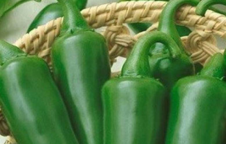 Alerta EU por brote de salmonela asociado a chiles jalapeños de México