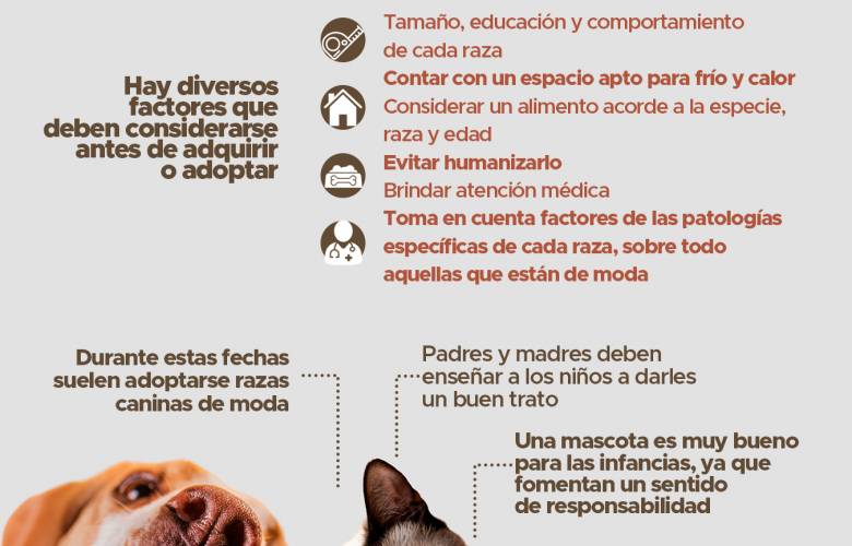 Especialista UAEMéx promueve una tenencia responsable para mascotas
