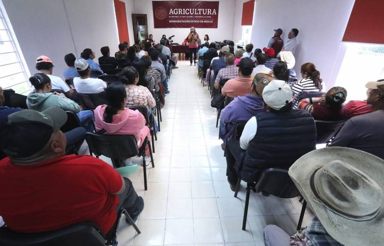 Impulsan EdoMéx y Federación mejor precio para productores de maíz