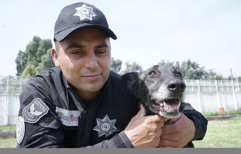 SSEM rescata a familia canina en Lerma; iniciarán preparación para el Grupo Táctico K9