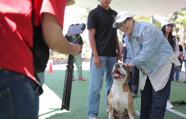 Rompe Ecatepec récord de esterilizaciones en Semana de Bienestar Animal “Huellitas de Amor”