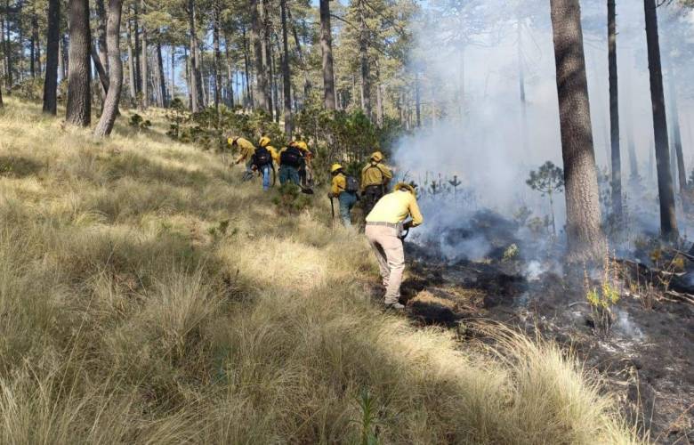 Combaten incendio forestal en el Nevado de Toluca, tres combatientes resultaron lesionados