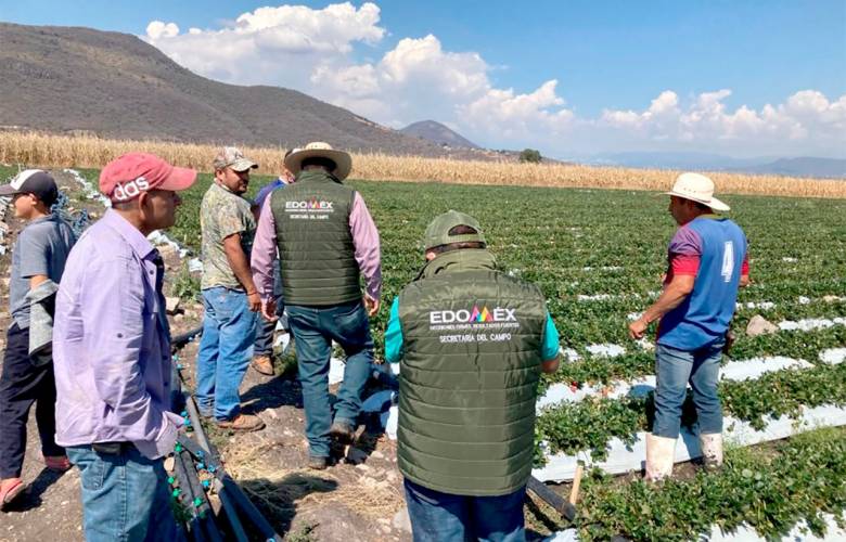 Realiza GEM inventario de daños en cultivos e invernaderos de flores en Villa Guerrero