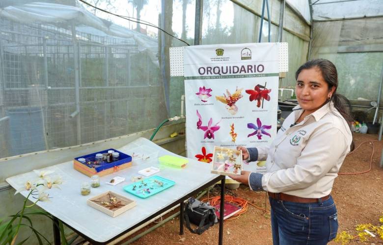 Orquidario de UAEMéx en Tenancingo resguarda ejemplares de 53 especies de orquídeas silvestres
