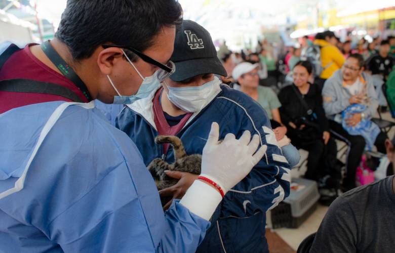 Invita Gobernadora Delfina Gómez a la Caravana por el Bienestar Animal con esterilizaciones, consultas y adopción gratuita