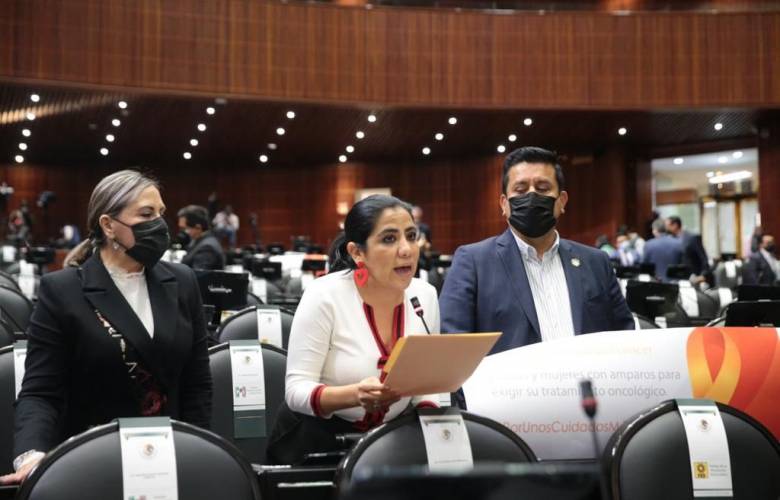 Urge prohibir transportes de doble remolque, peligro latente para la población: Lorena Piñón