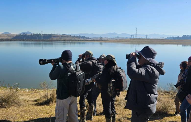 Invita Gobierno del EdoMéx a avistamiento de aves en el Valle de Toluca