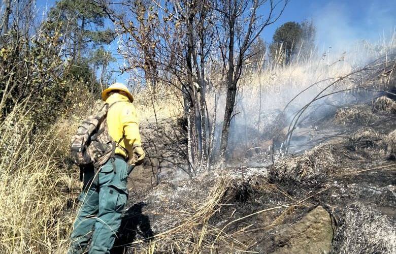 Bajo control todos los incendios forestales de Texcoco y al 70 por ciento en Amecameca