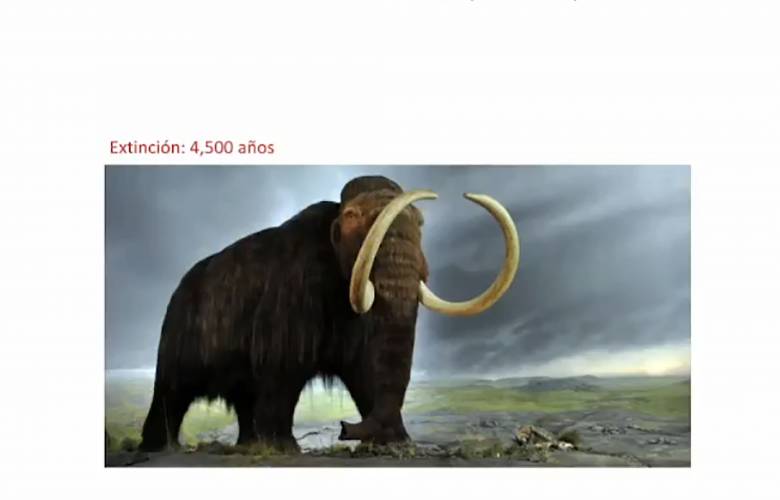 Lejana, la posibilidad de clonar seres humanos 