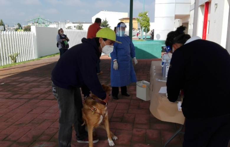 Vacunarán contra la rabia perros y gatos del 19 al 25 de septiembre 