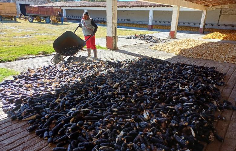 2024, el año de la transformación y el rescate del campo mexiquense para revertir décadas de abandono