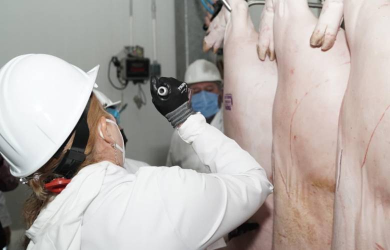 Supervisa CORPISEMEX 76 rastros municipales para evitar venta de carne en mala condición 