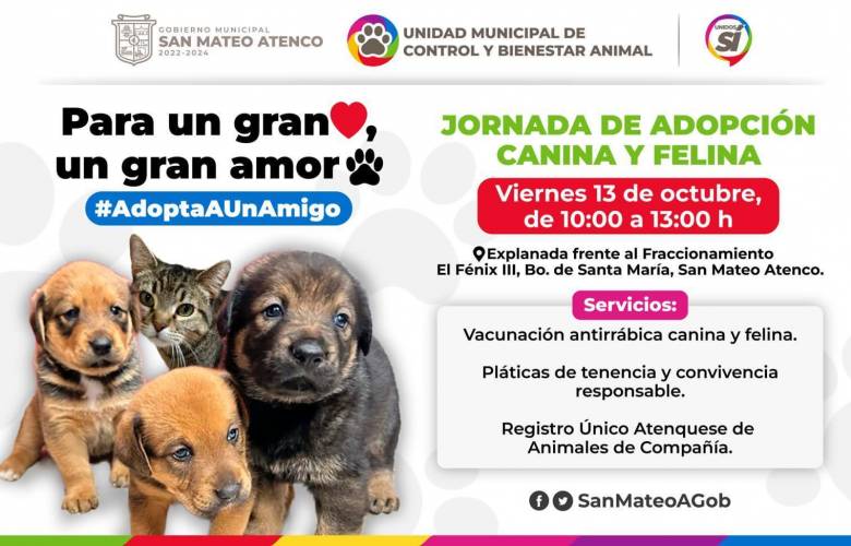 Invita San Mateo Atenco a jornada de adopción canina y felina 