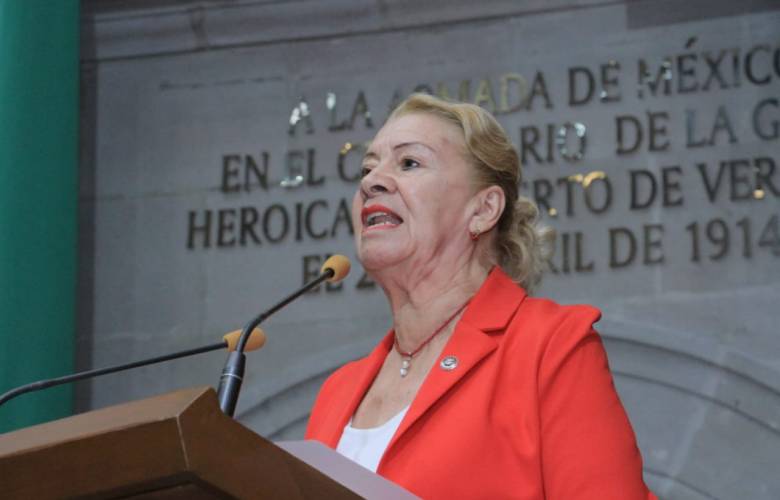 Plantea Alicia Mercado penalizar robo y comercio de mobiliario urbano