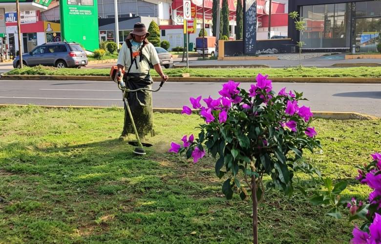 Rehabilitan y amplían áreas verdes del Libramiento Jorge Jiménez Cantú en Atlacomulco tras granizada
