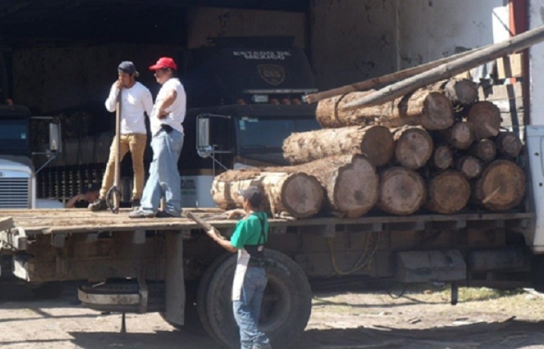 Dona profepa madera a organismos públicos en el estado de méxico