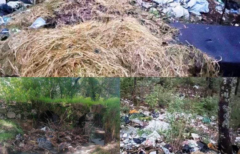 Problemas de recolección de Basura de El Oro afectan zona limitrofe con Michoacán y región turística