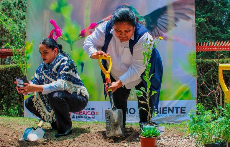 Suma EdoMéx 10 sistemas de captación pluvial en deportivos y capta más de 1.7 millones de litros al año
