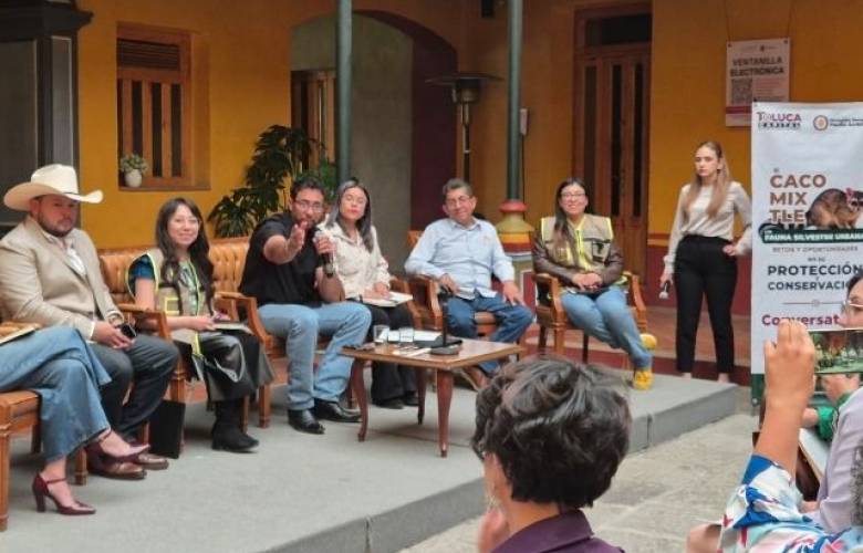 Impulsa Toluca protección del cacomixtle y fauna silvestre urbana
