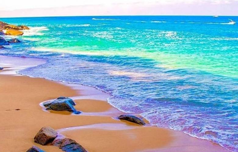 Reportan 288 playas aptas para Semana Santa 2026