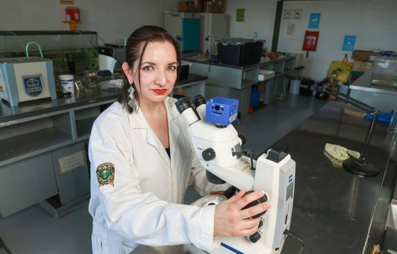 Científica de la UAEMéx ganó Premio Mujeres en Ciencias Biológicas y de la Salud: Matilde Montoya 2025