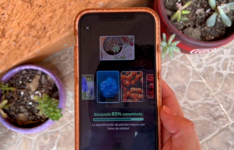 Desarrollan universitarios inteligencia artificial para el cultivo de alimentos en casa