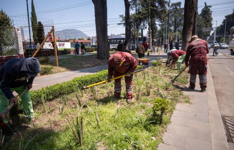 Inicia Toluca transformación de Paseo Colón para recuperar espacio público y movilidad