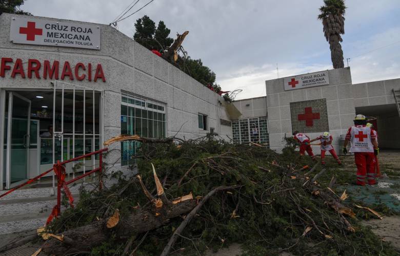 Cae un árbol sobre parte de instalaciones de Cruz Roja Mexicana Toluca, sin afectaciones personales