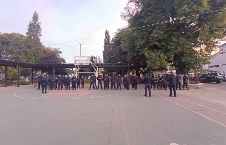 Despliega el GEM Operativo Ocuilan contra la tala cladestina