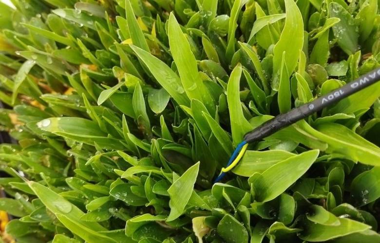 Con sistema de riego controlado por IA, estudiantes de posgrado de UAEMéx y UNAM ganan tercer lugar en Aqua Challenge Digital