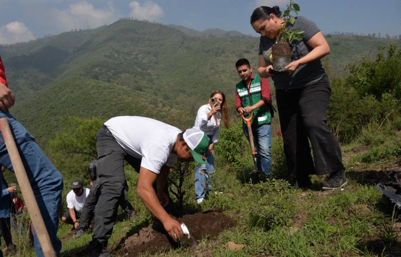 Secretaría del Medio Ambiente y Desarrollo Sostenible emite recomendaciones para reforestar los bosques mexiquenses
