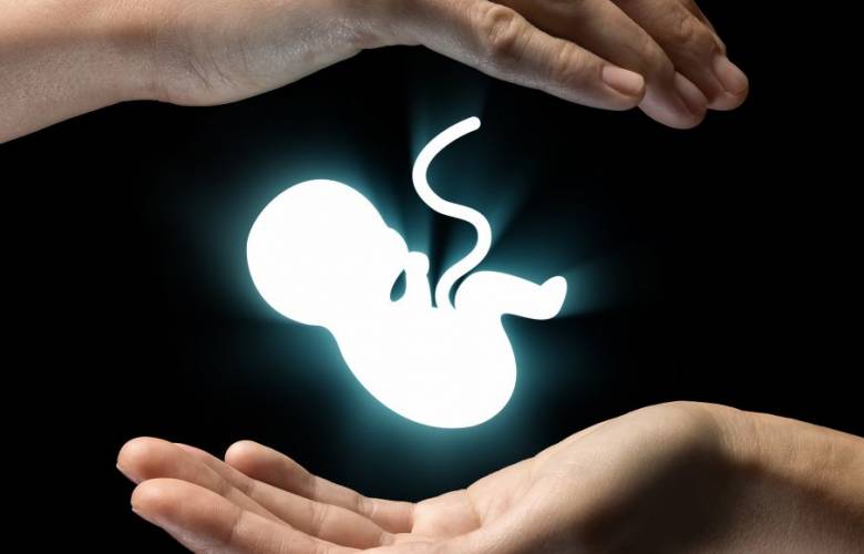 La codhem propone impulsar amplia discusión sobre el derecho a la interrupción voluntaria del embarazo