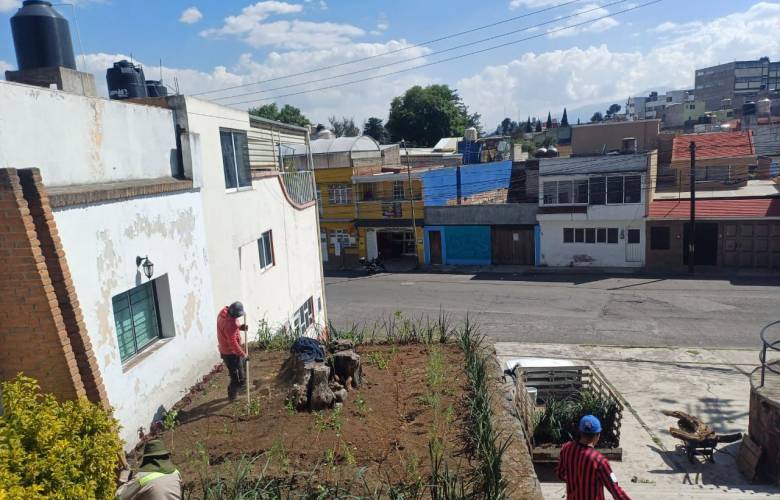 Promueve Toluca biodiversidad urbana con instalación de jardines polinizadores