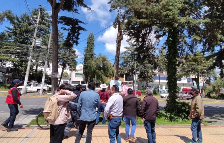 Especialistas evalúan arbolado de Paseo Colón