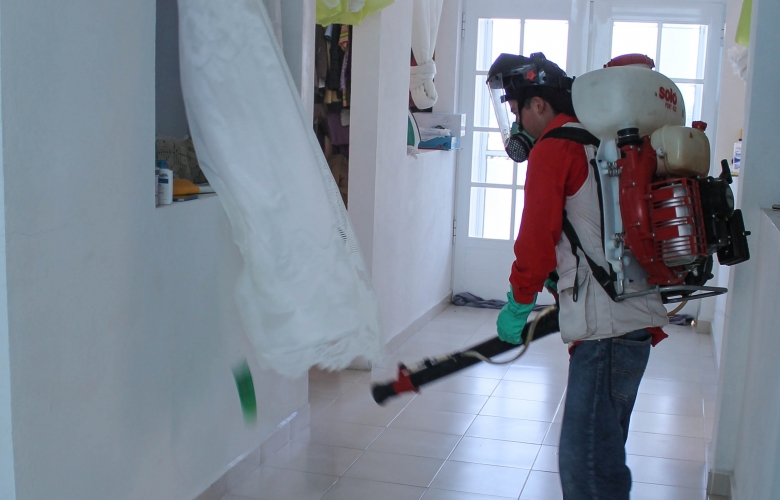 Gem / isem: inicia segunda jornada nacional de lucha contra el dengue y chikungunya 2015