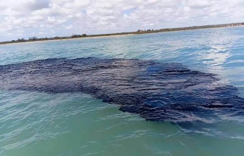 Instruye Presidenta Claudia Sheinbaum investigación; separan a 3 funcionarios de cargo por derrame en Golfo de México