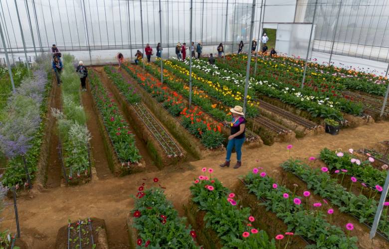 Impulsa EdoMéx rutas turísticas del mezcal y la flor para detonar economía del sur